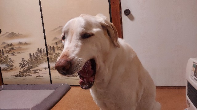 あくび翁