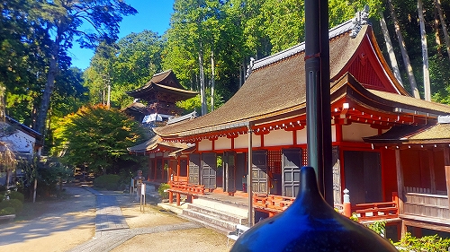 長命寺16　本殿内より