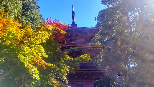 長命寺14　三重塔遠景