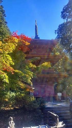 長命寺13　三重塔遠景