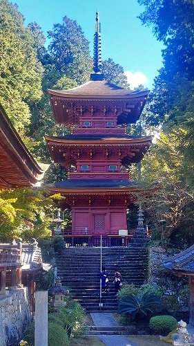 長命寺10　三重塔