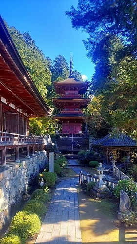 長命寺９　三重塔