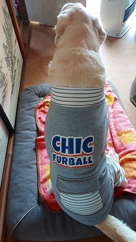 シックファーボールの人1