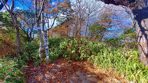竜王山山頂