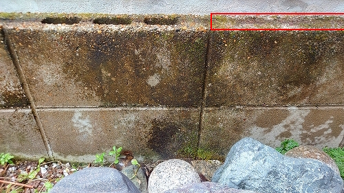 ベンザルコニウム塗布後