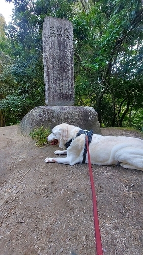 碑と翁１