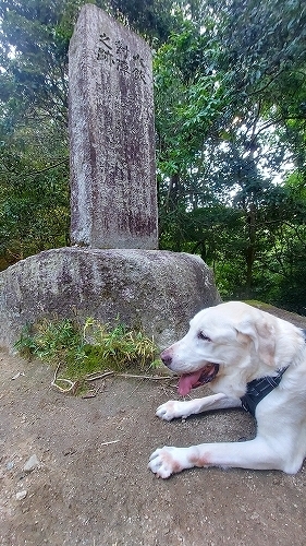 碑と翁２