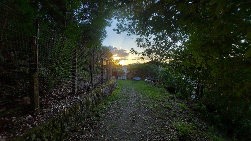 麓近くの夕暮れと翁１