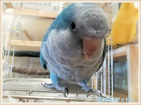 f:id:okinan181025:20200914223206j:plain f:id:okinan181025:20200914223206j:plain