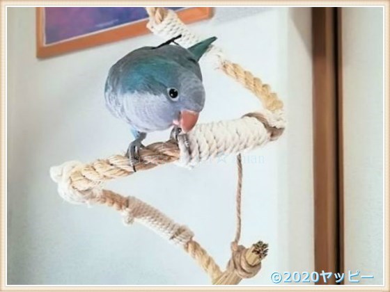f:id:okinan181025:20200914230221j:plain f:id:okinan181025:20200914230221j:plain
