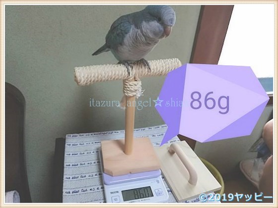 f:id:okinan181025:20201014024231j:plain f:id:okinan181025:20201014024231j:plain