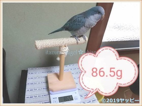 f:id:okinan181025:20201014030830j:plain f:id:okinan181025:20201014030830j:plain