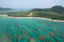 f:id:okinawa-apex:20190710133622j:plain f:id:okinawa-apex:20190710133622j:plain