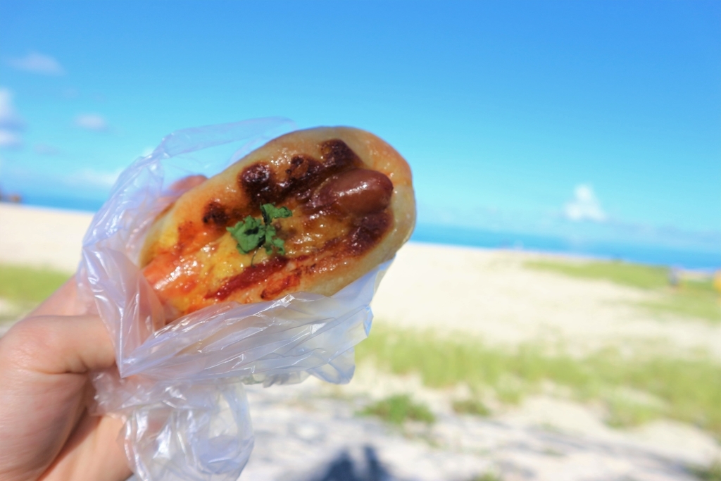 f:id:okinawa-mental:20180918203255j:plain f:id:okinawa-mental:20180918203255j:plain