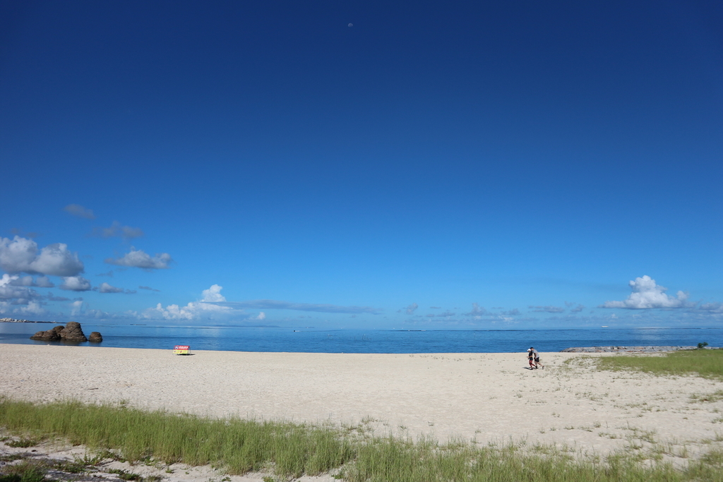 f:id:okinawa-mental:20180918203426j:plain f:id:okinawa-mental:20180918203426j:plain