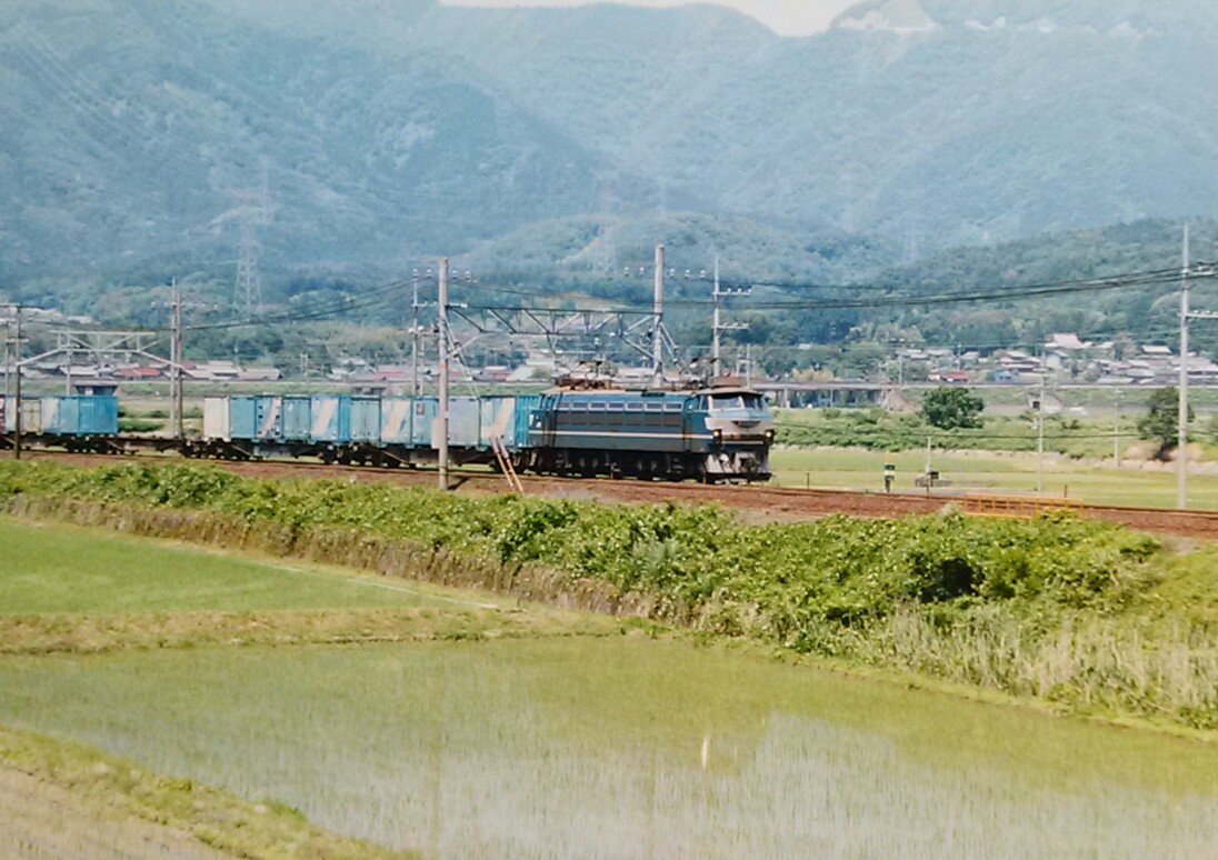 f:id:okinawa-rail:20200304231625j:plain