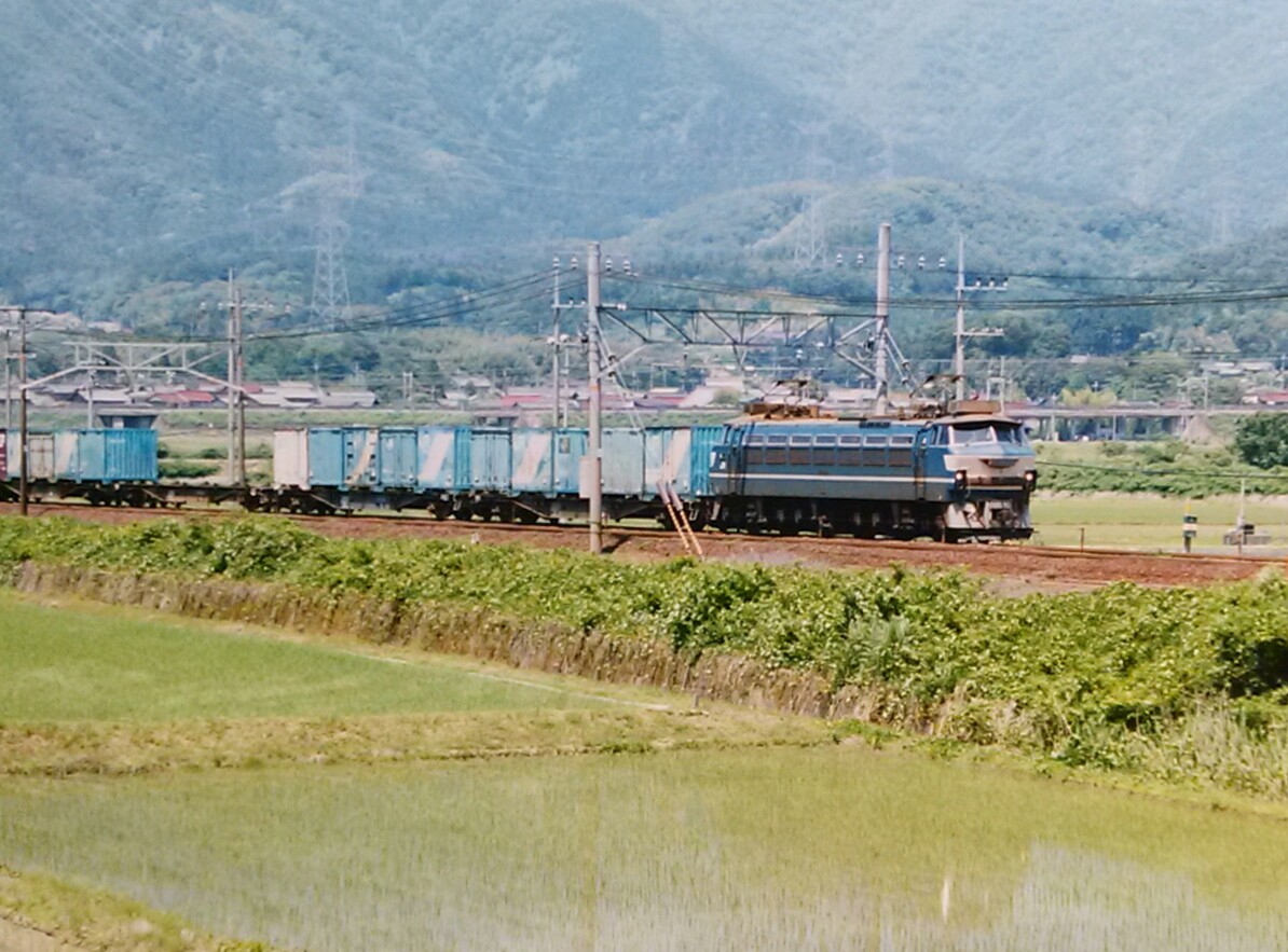 f:id:okinawa-rail:20200304231706j:plain
