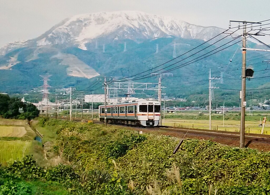 f:id:okinawa-rail:20200306222032j:plain