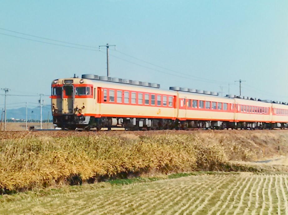 f:id:okinawa-rail:20200314190653j:plain