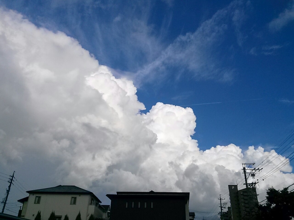 f:id:okinawa-rail:20200911214928j:plain