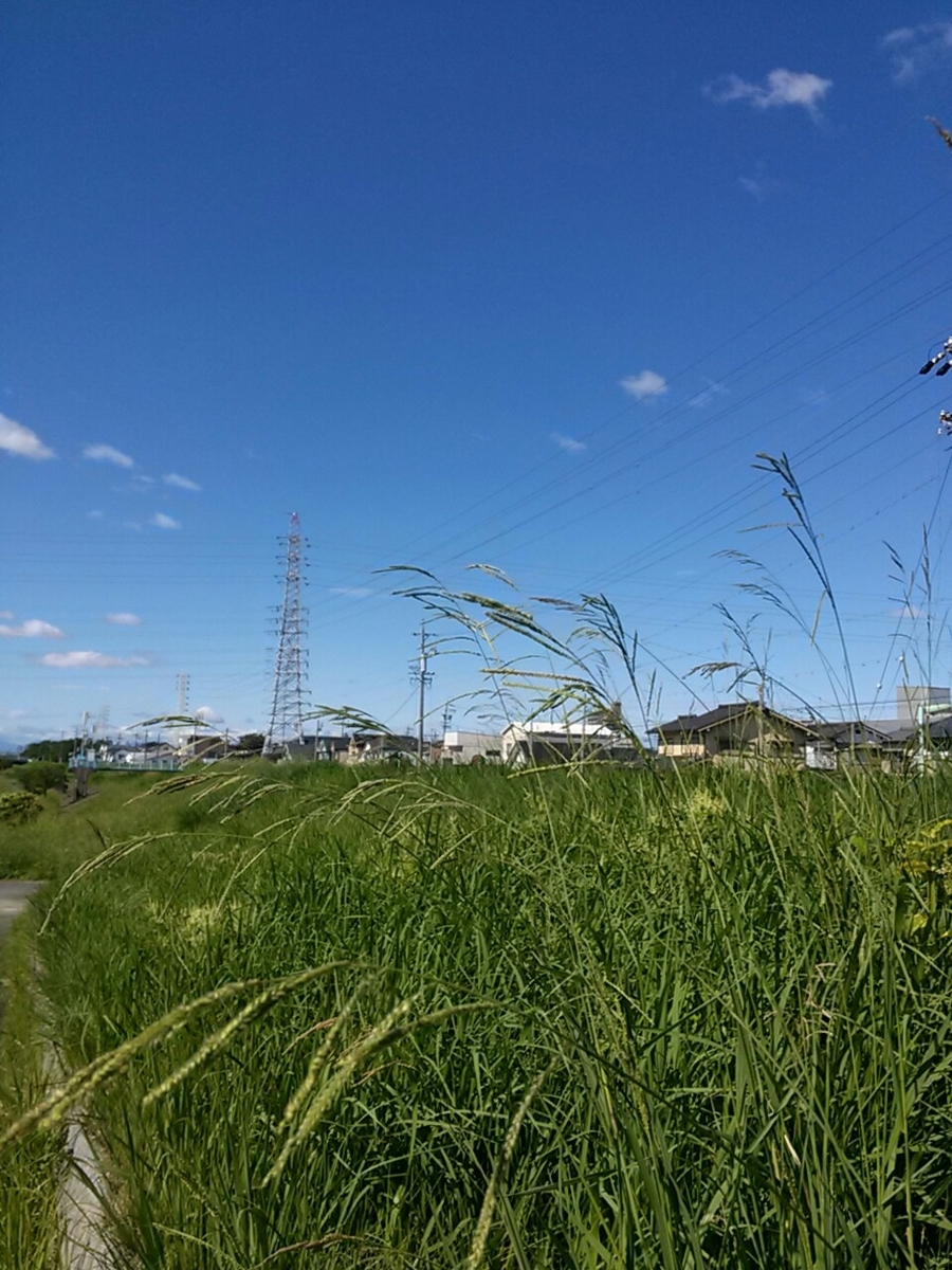f:id:okinawa-rail:20200930003600j:plain