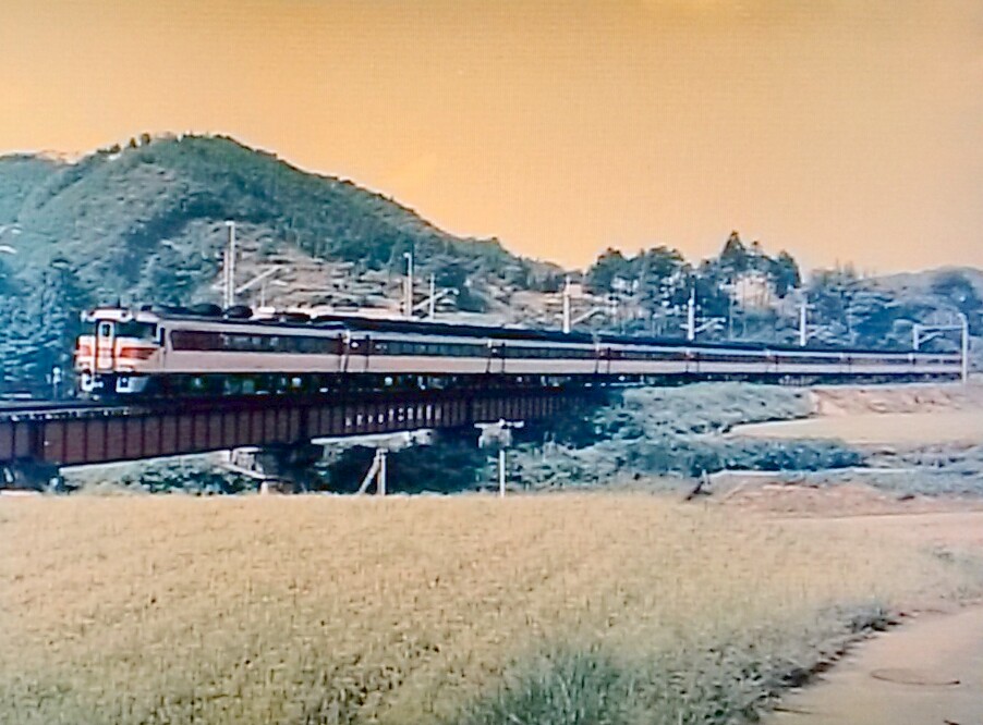 f:id:okinawa-rail:20201015220623j:plain