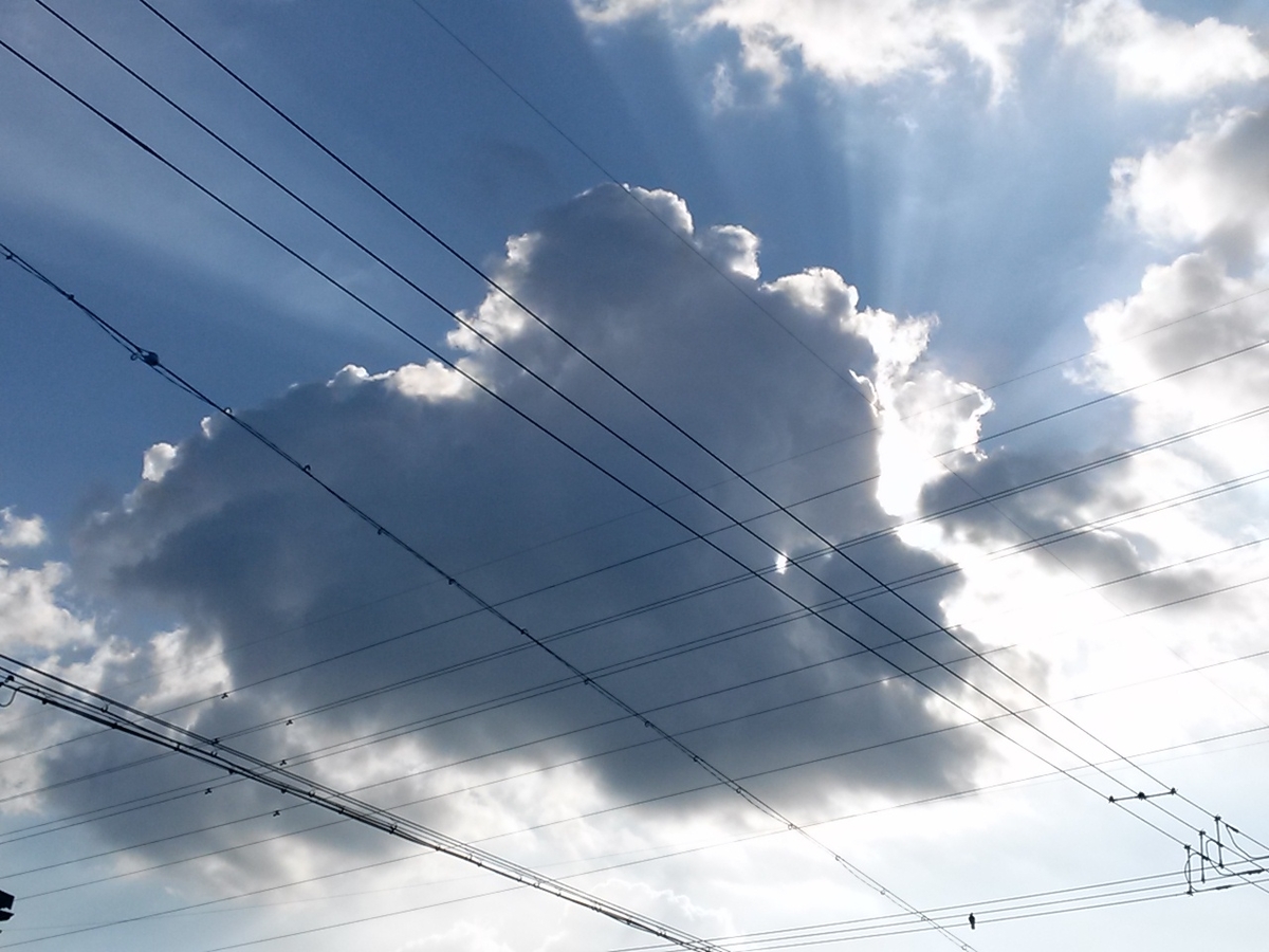 f:id:okinawa-rail:20201115090125j:plain