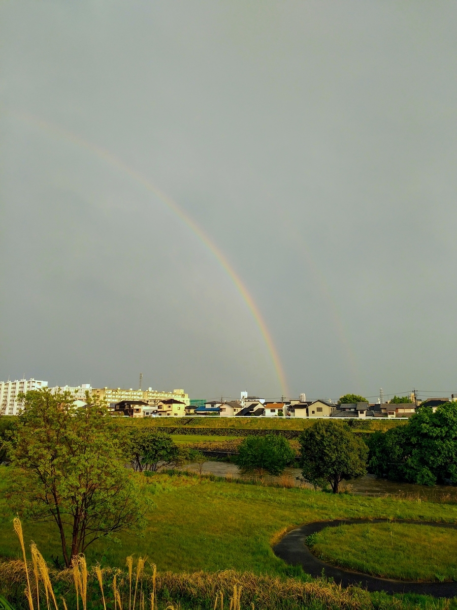 f:id:okinawa-rail:20210501180656j:plain