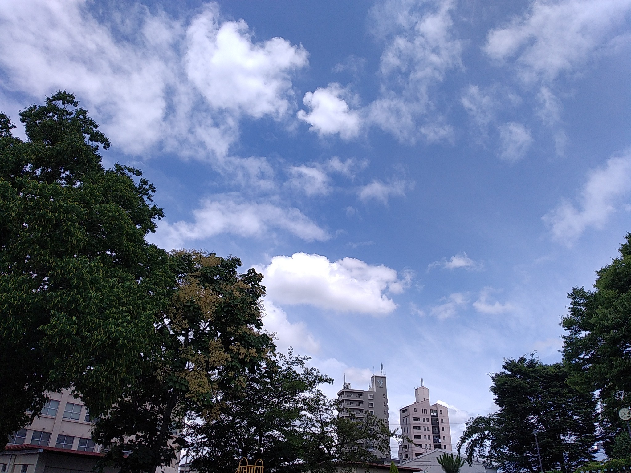 f:id:okinawa-rail:20210703213646j:image f:id:okinawa-rail:20210703213646j:image