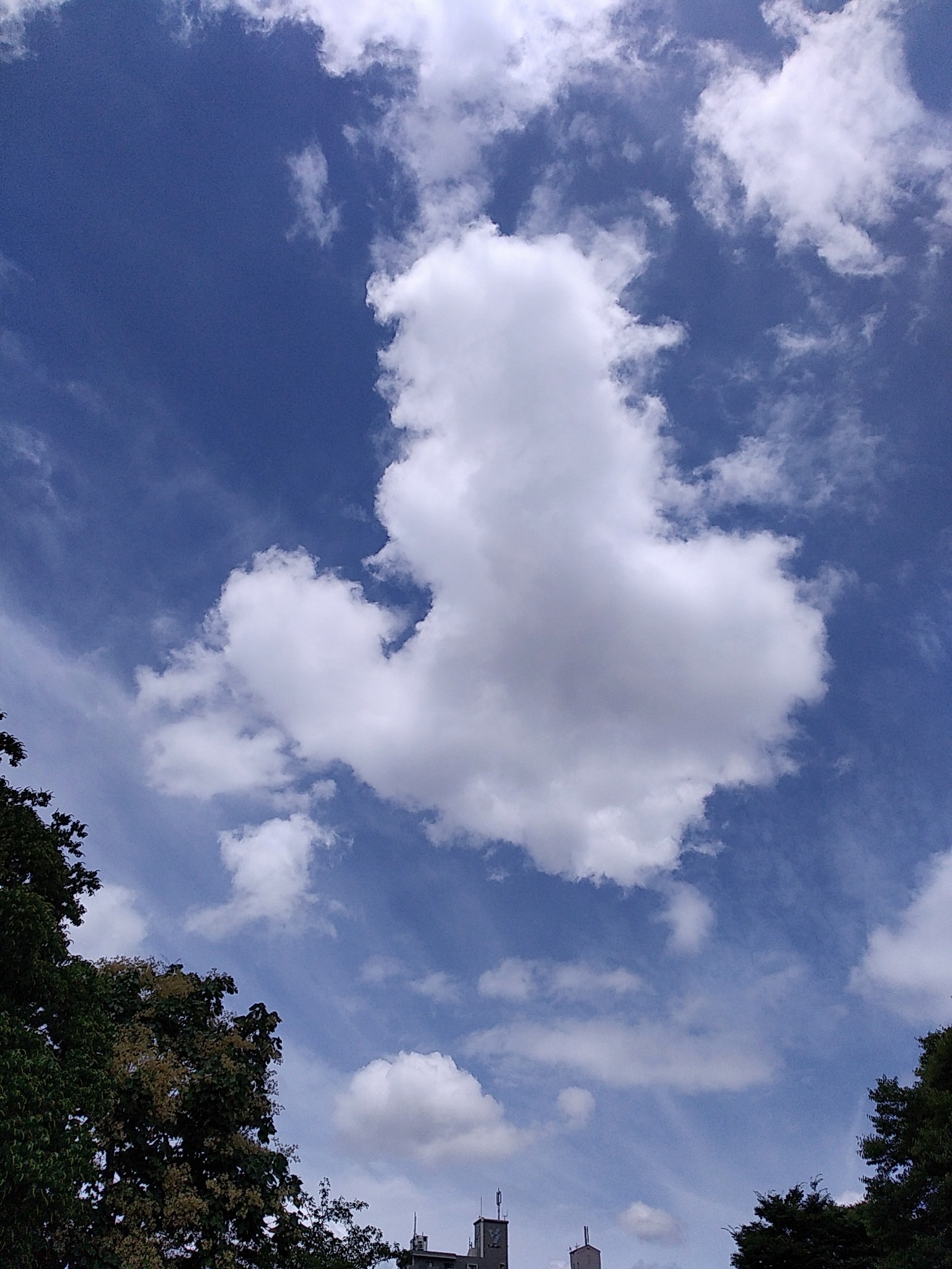 f:id:okinawa-rail:20210703213756j:image