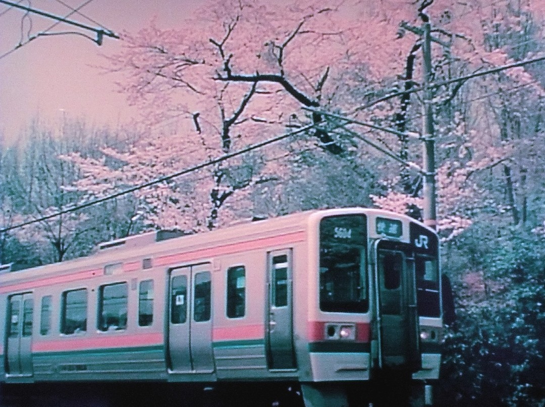 f:id:okinawa-rail:20220419005309j:image