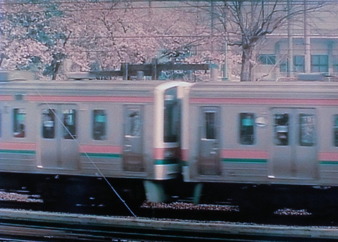 f:id:okinawa-rail:20220419010839j:image