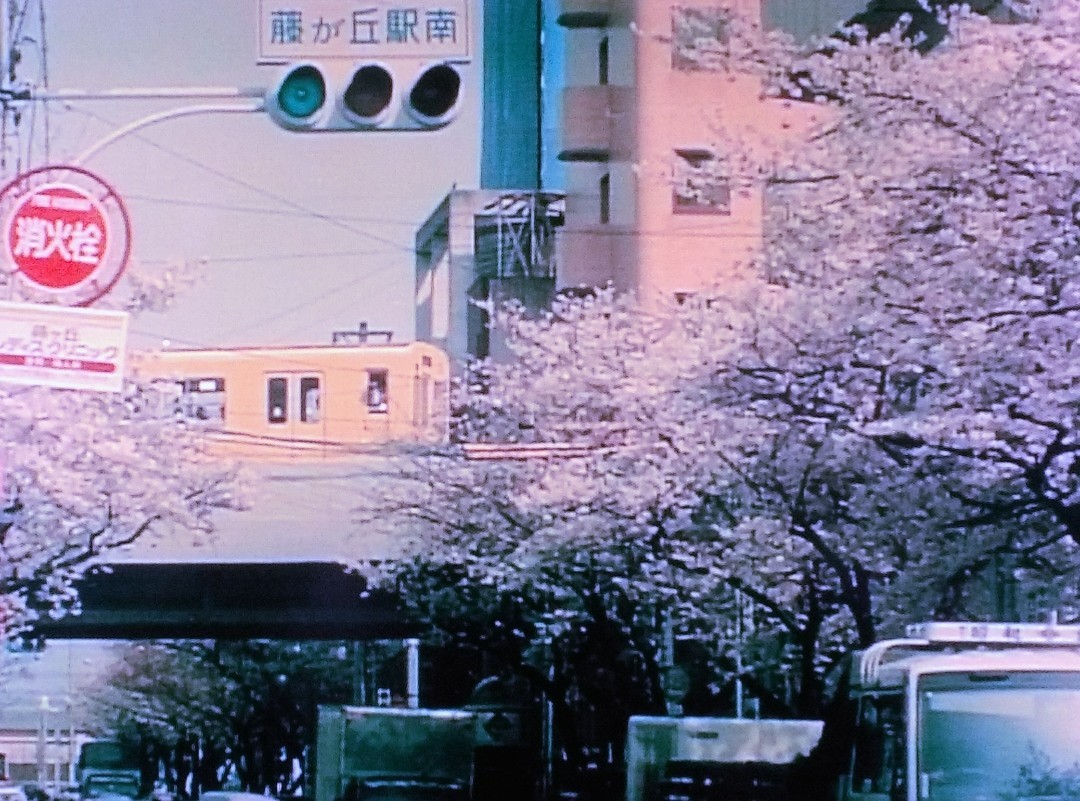 f:id:okinawa-rail:20220419012447j:image
