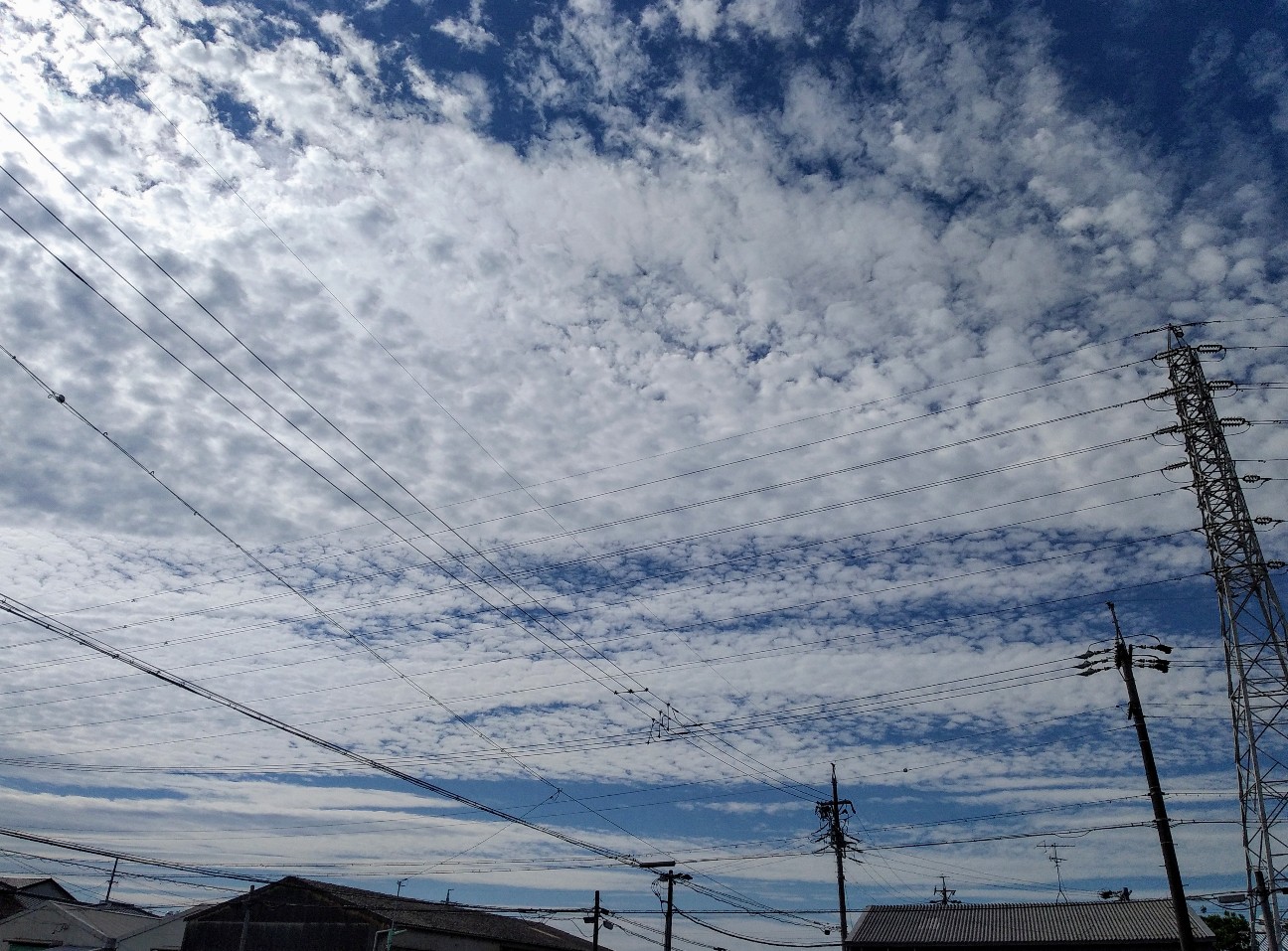 f:id:okinawa-rail:20220910223532j:image