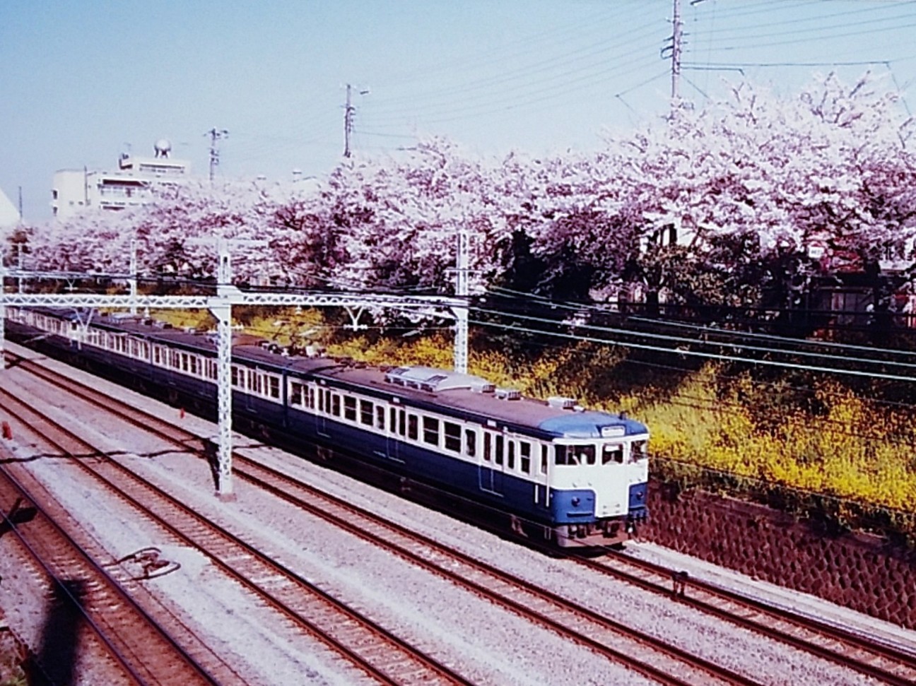 f:id:okinawa-rail:20230403012611j:image