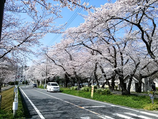 f:id:okinawa-rail:20230410215345j:image