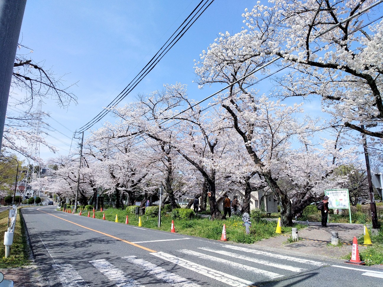 f:id:okinawa-rail:20230411093619j:image