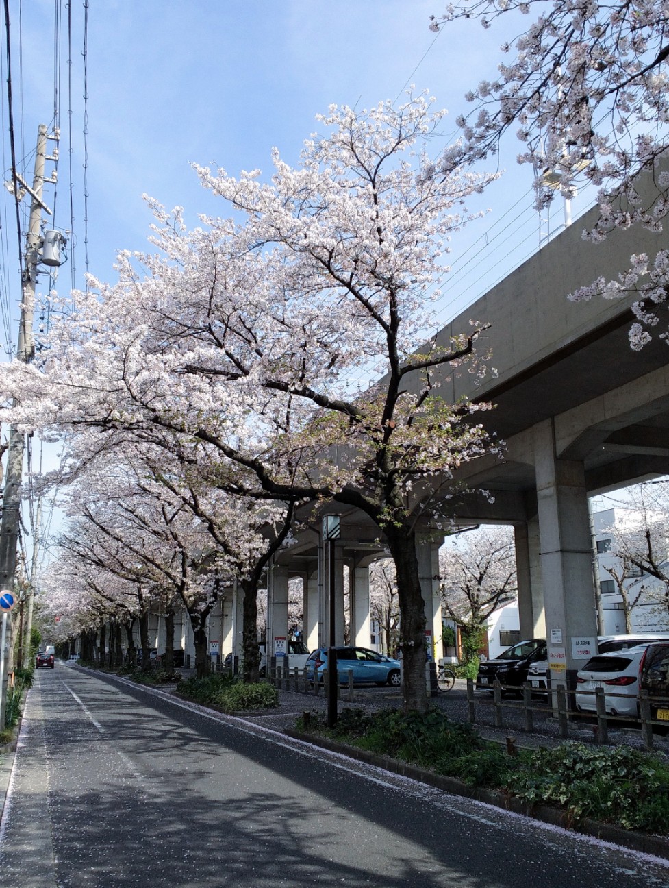 f:id:okinawa-rail:20230411220428j:image
