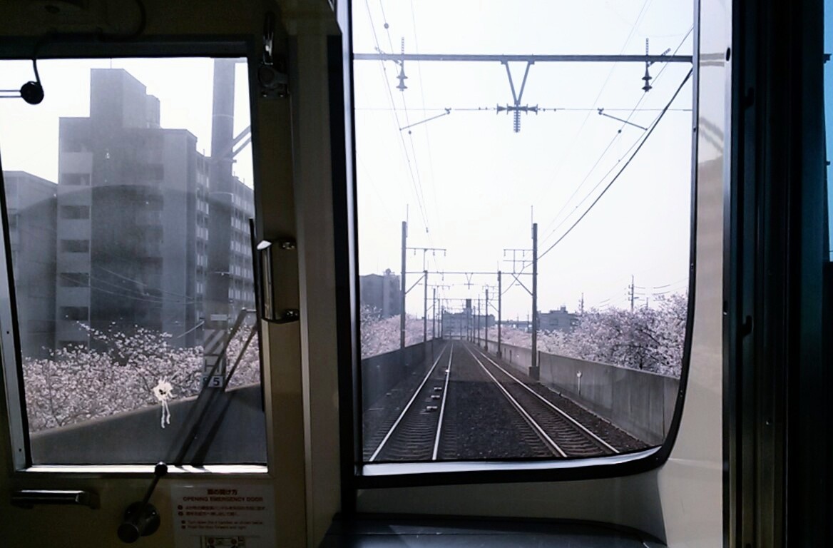 f:id:okinawa-rail:20230411221157j:image