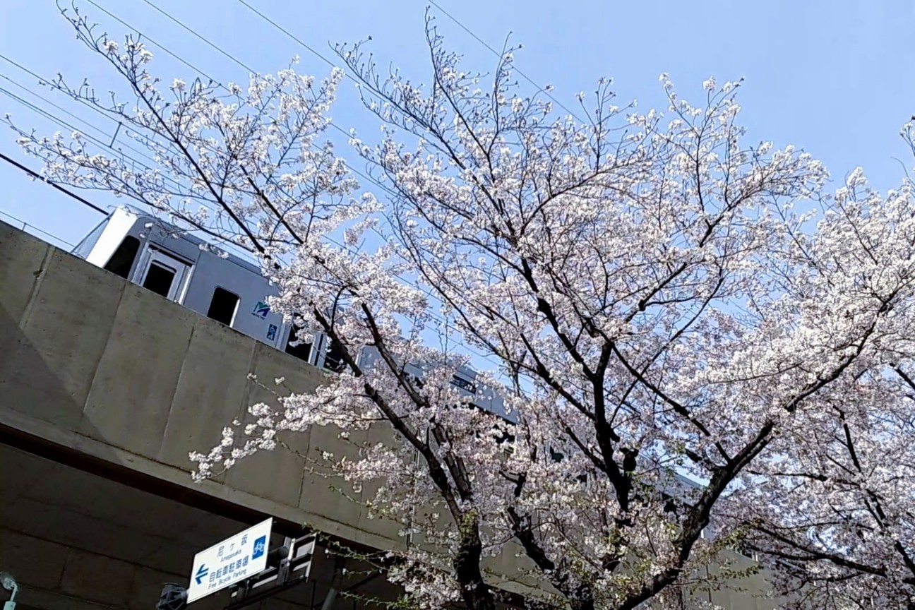 f:id:okinawa-rail:20230411221324j:image