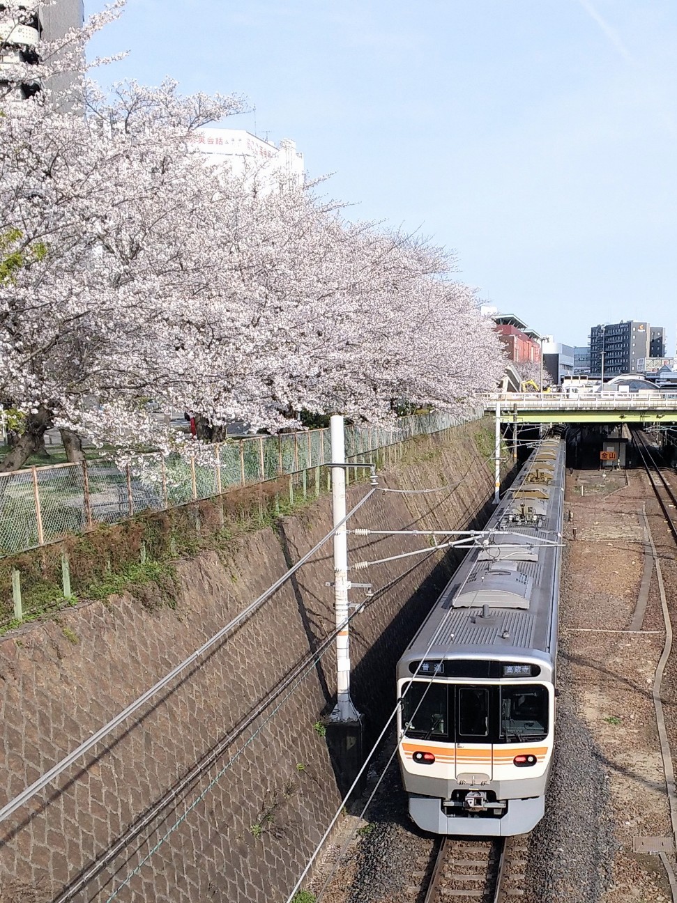 f:id:okinawa-rail:20230411222406j:image