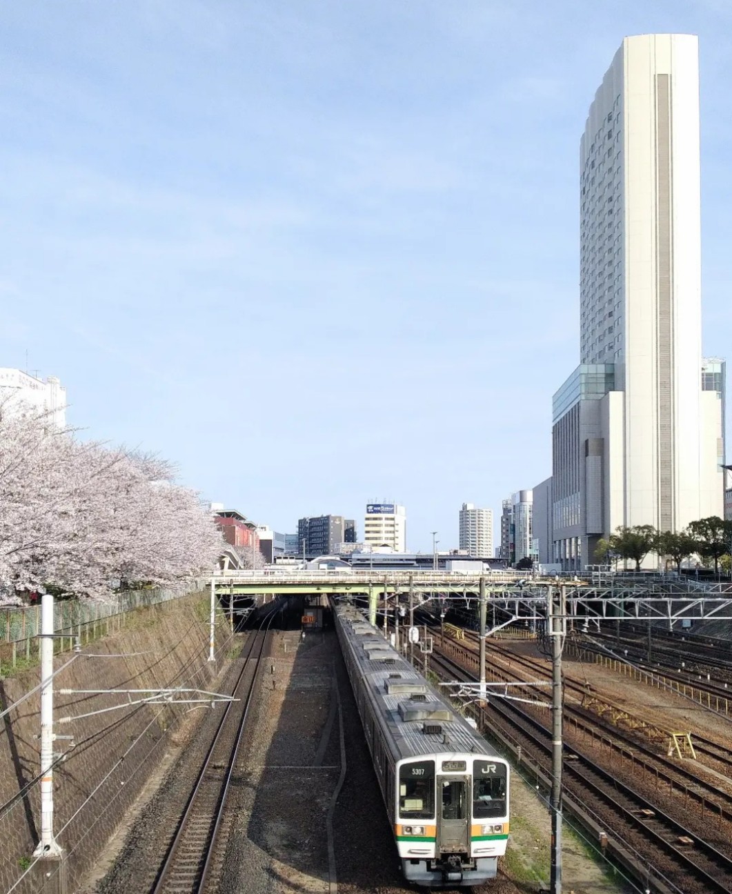 f:id:okinawa-rail:20230411222501j:image