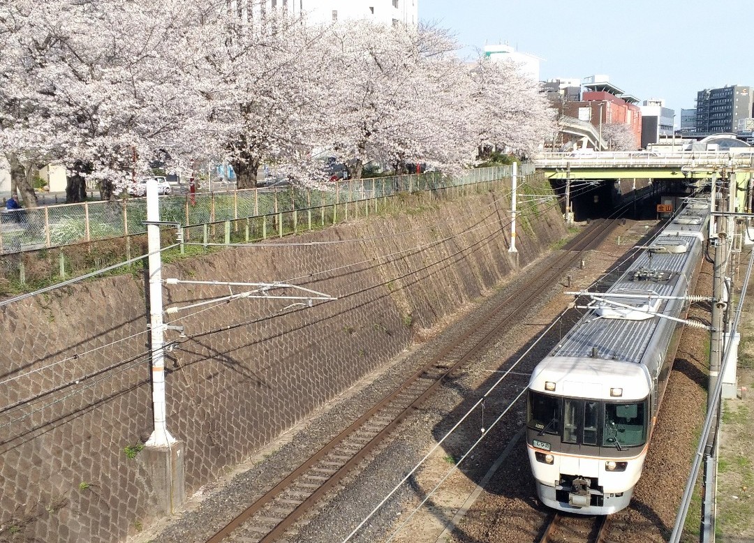 f:id:okinawa-rail:20230411223123j:image f:id:okinawa-rail:20230411223123j:image