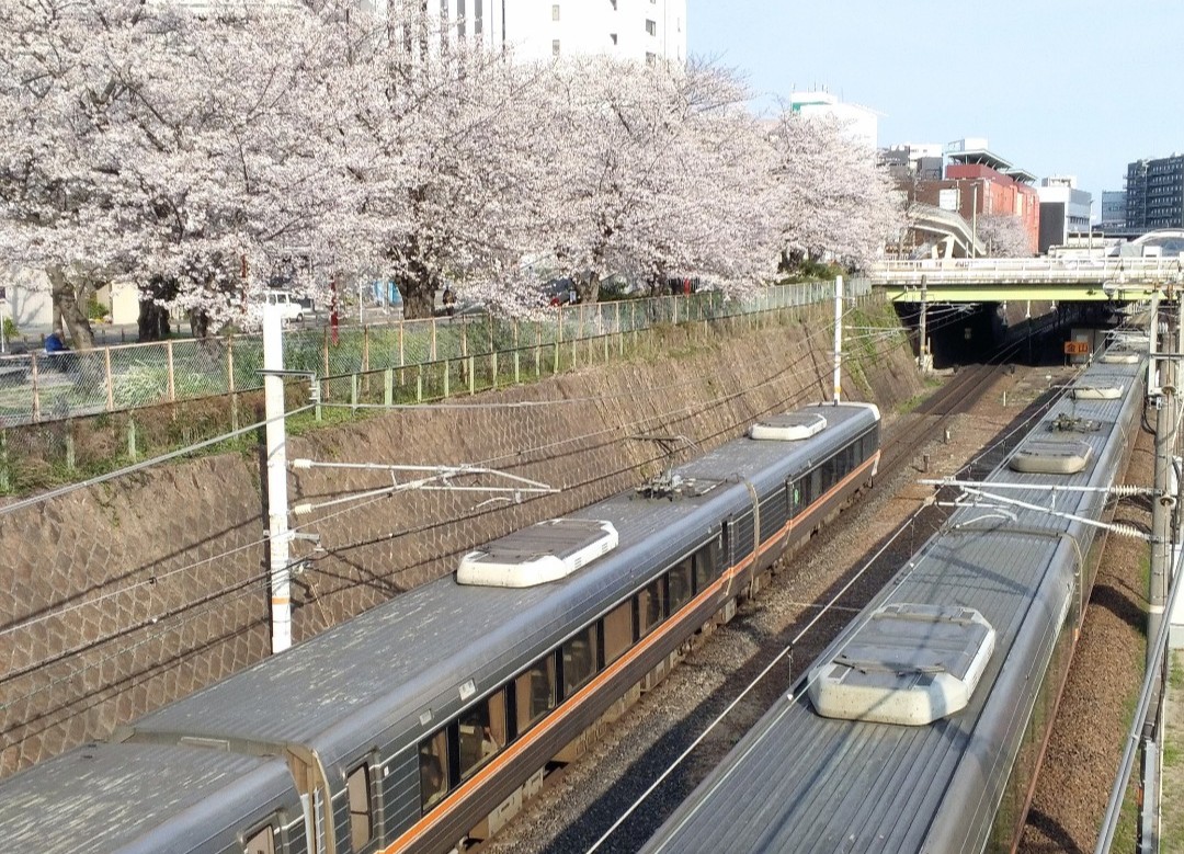 f:id:okinawa-rail:20230411223202j:image f:id:okinawa-rail:20230411223202j:image