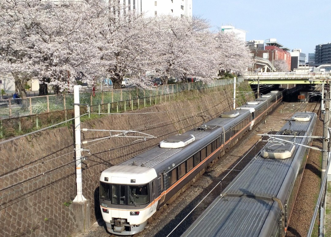 f:id:okinawa-rail:20230411223413j:image