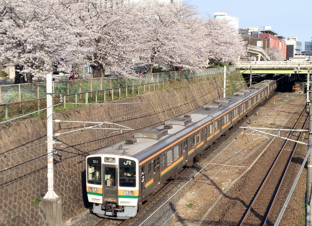 f:id:okinawa-rail:20230411233125j:image