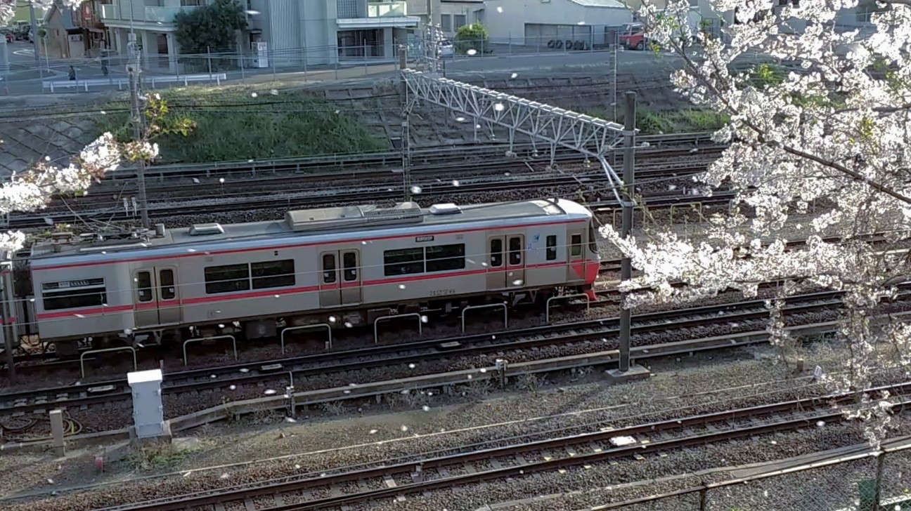 f:id:okinawa-rail:20230411233518j:image f:id:okinawa-rail:20230411233518j:image
