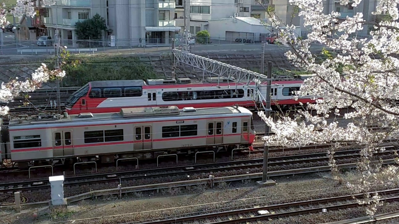 f:id:okinawa-rail:20230411233546j:image f:id:okinawa-rail:20230411233546j:image
