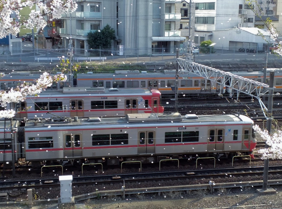f:id:okinawa-rail:20230411233726j:image f:id:okinawa-rail:20230411233726j:image