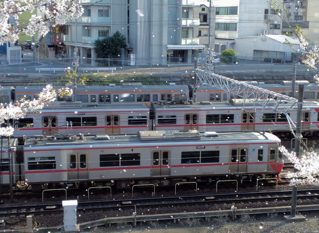 f:id:okinawa-rail:20230411233805j:image f:id:okinawa-rail:20230411233805j:image